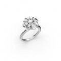 Not  the Scarlet Flower ring